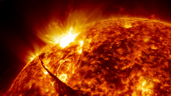 Syncing Your Frequency with Earth Activates Your Inner Healing and Immune Protection During Planetary Change